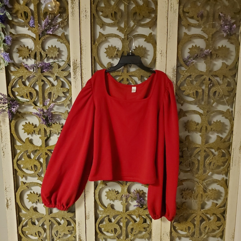 Classy red blouse